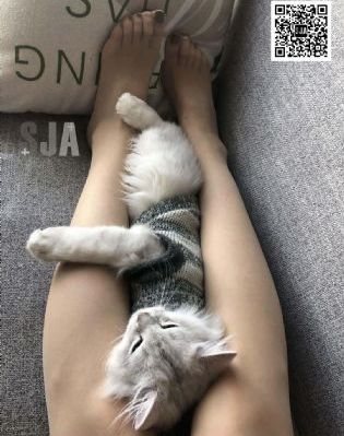 国产特级视频_超清高清视频播放